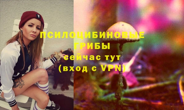 mdpv Кукмор